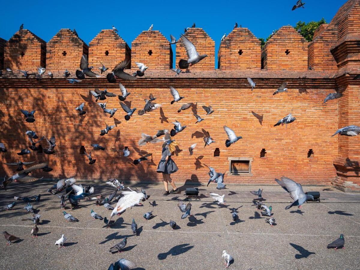 Historic In Thapae *